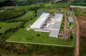 THAI TOYO DENSO CO., LTDPARKWAY INDUSTRIAL ZONE (CHONBURI)パークウェイ工業団地（ブランチンブリ県）